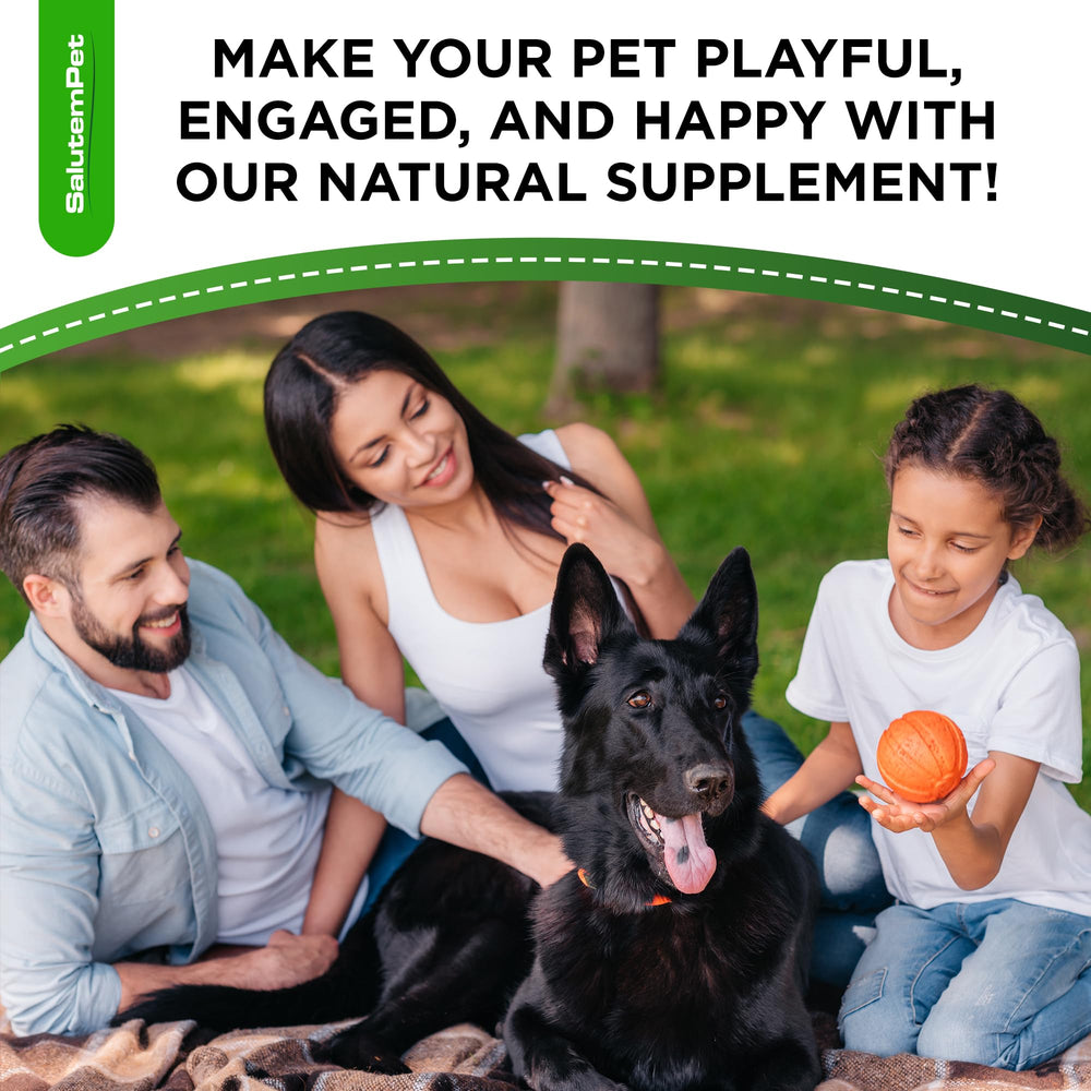 SalutemPet Probiotics 2oz packaging is convenient for home use