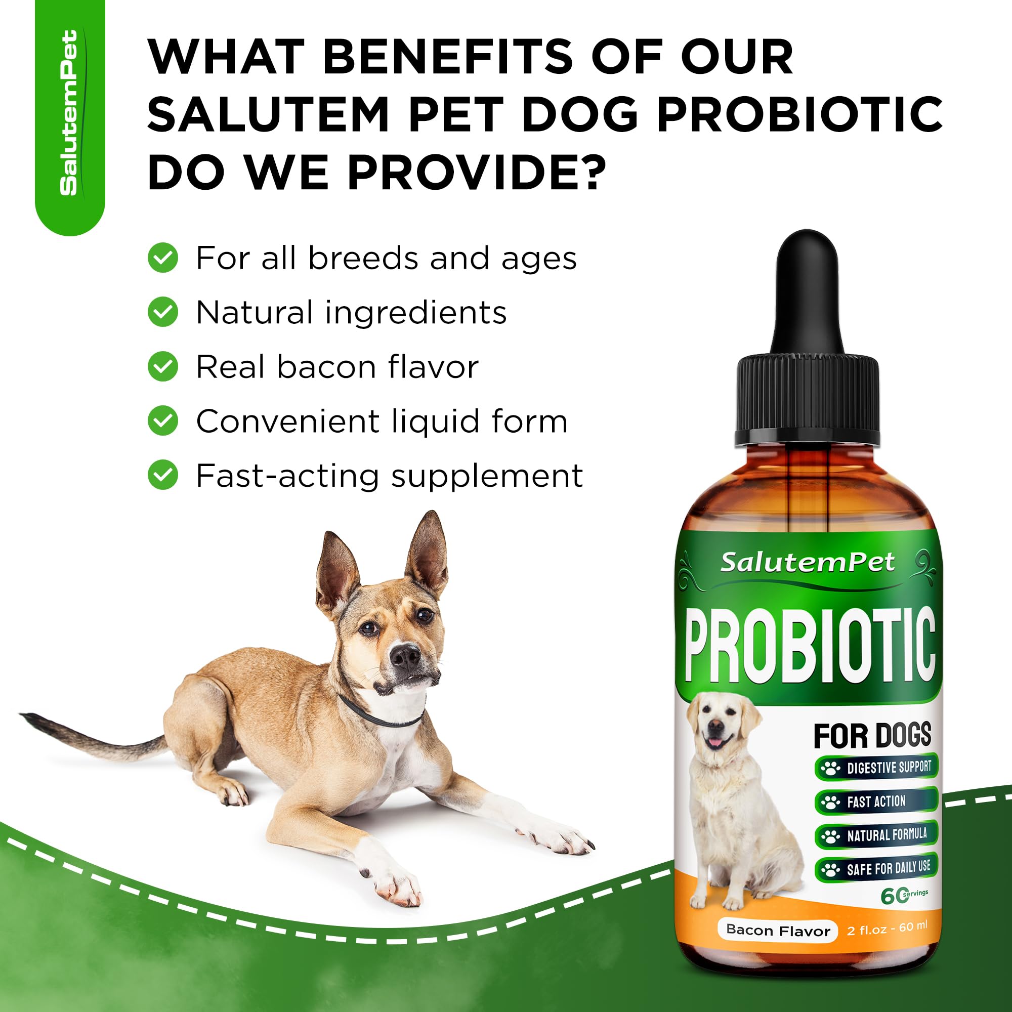 SalutemPet Probiotics for all breeds concept image showing versatility for dogs of any size