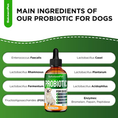  SalutemPet Probiotics bacon flavor appeals to dogs during meals