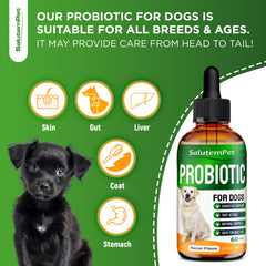 SalutemPet Probiotics bottle dispense demonstrates quick serving for daily gut balance