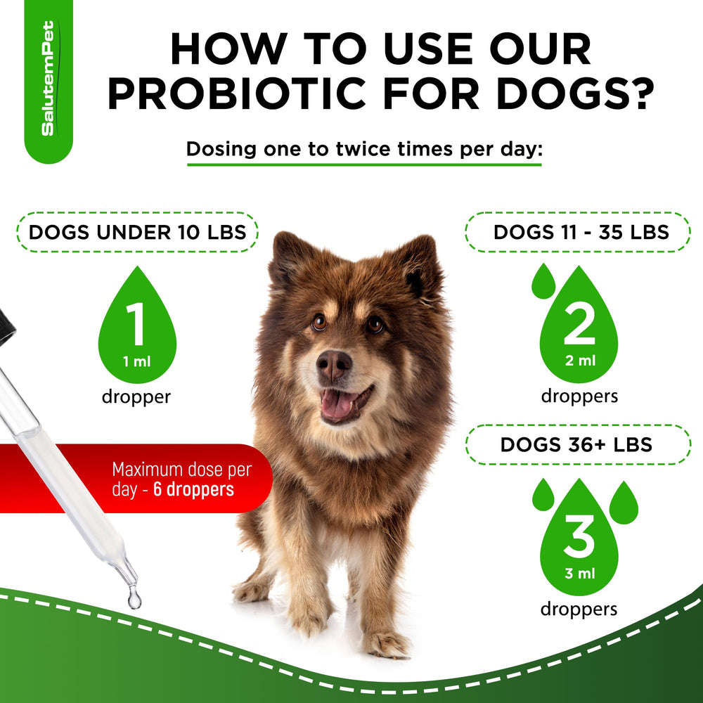 SalutemPet Probiotics natural ingredients bottle emphasizes purity and safety