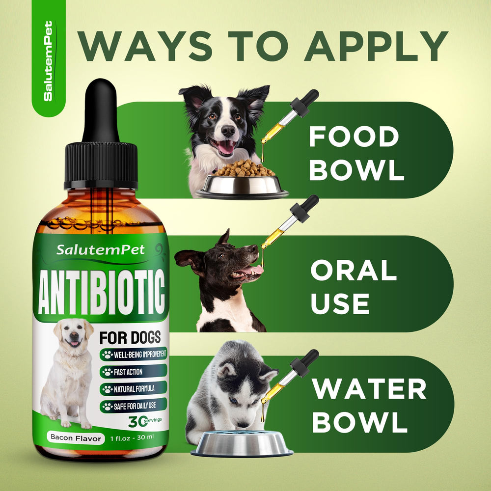 SalutemPet liquid with quick absorption for fast uptake.