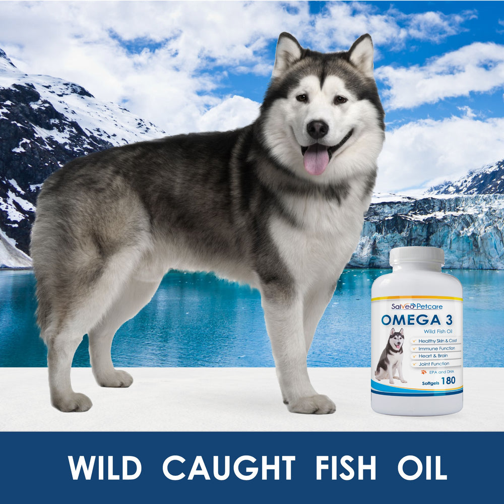Salveo Omega-3 Dogs capsules resting in a bottle for daily use.
