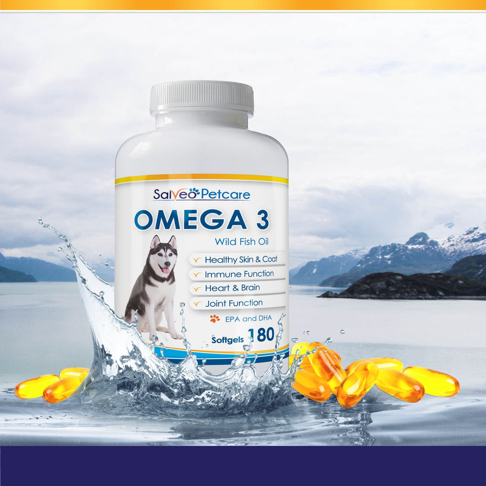 Salveo Omega-3 Dogs gloss-coat image highlights a healthy-looking coat.