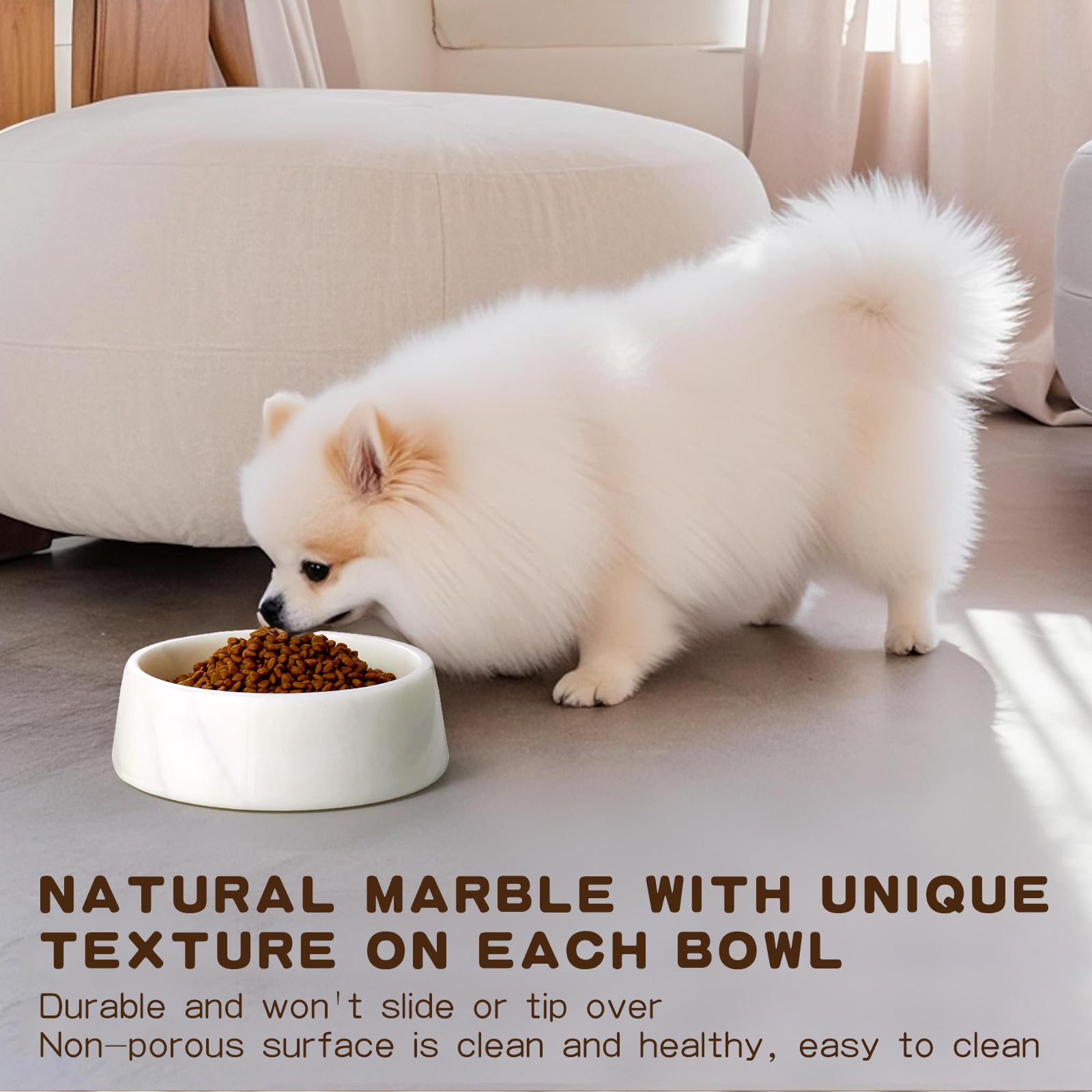 SAMAH holds up to six cups, suitable for large dogs and multi-pet homes.