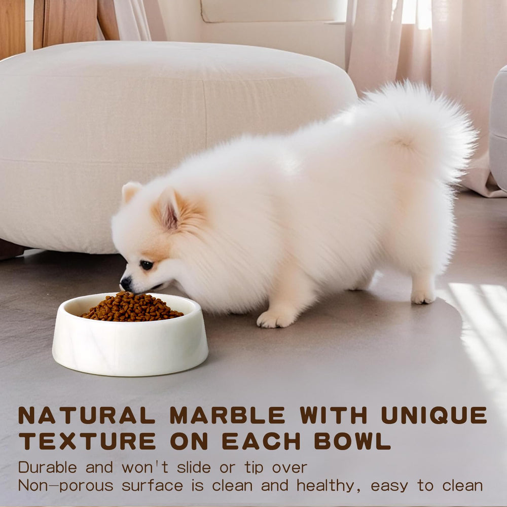SAMAH holds up to six cups, suitable for large dogs and multi-pet homes.