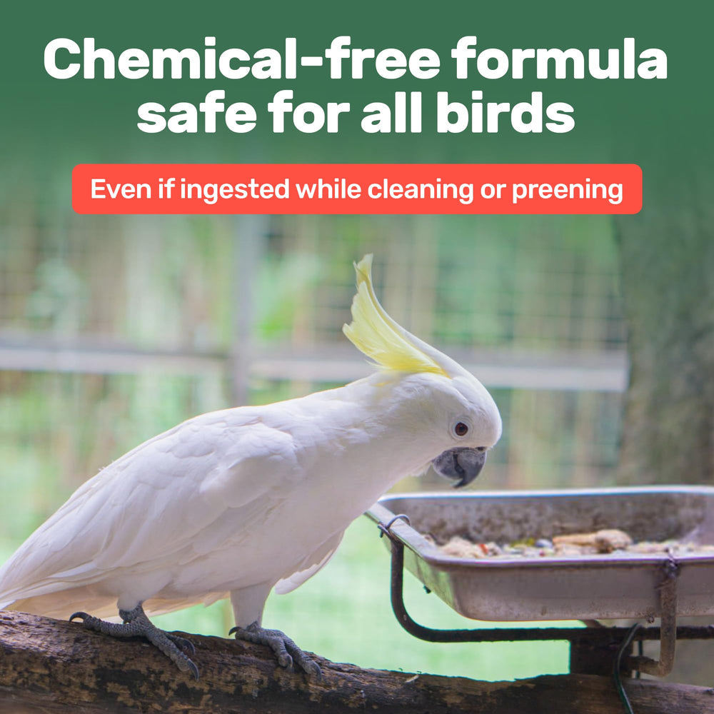 Samorillo Aloe Vera Bird Spray used during bath to refresh feathers.