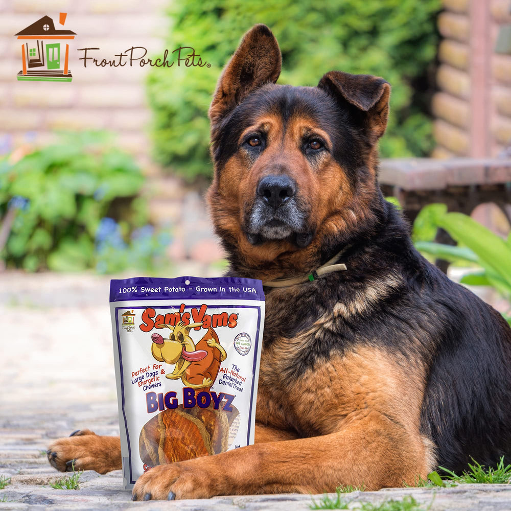 Beta-carotene from sweet potatoes for eye-friendly nutrition in dogs.