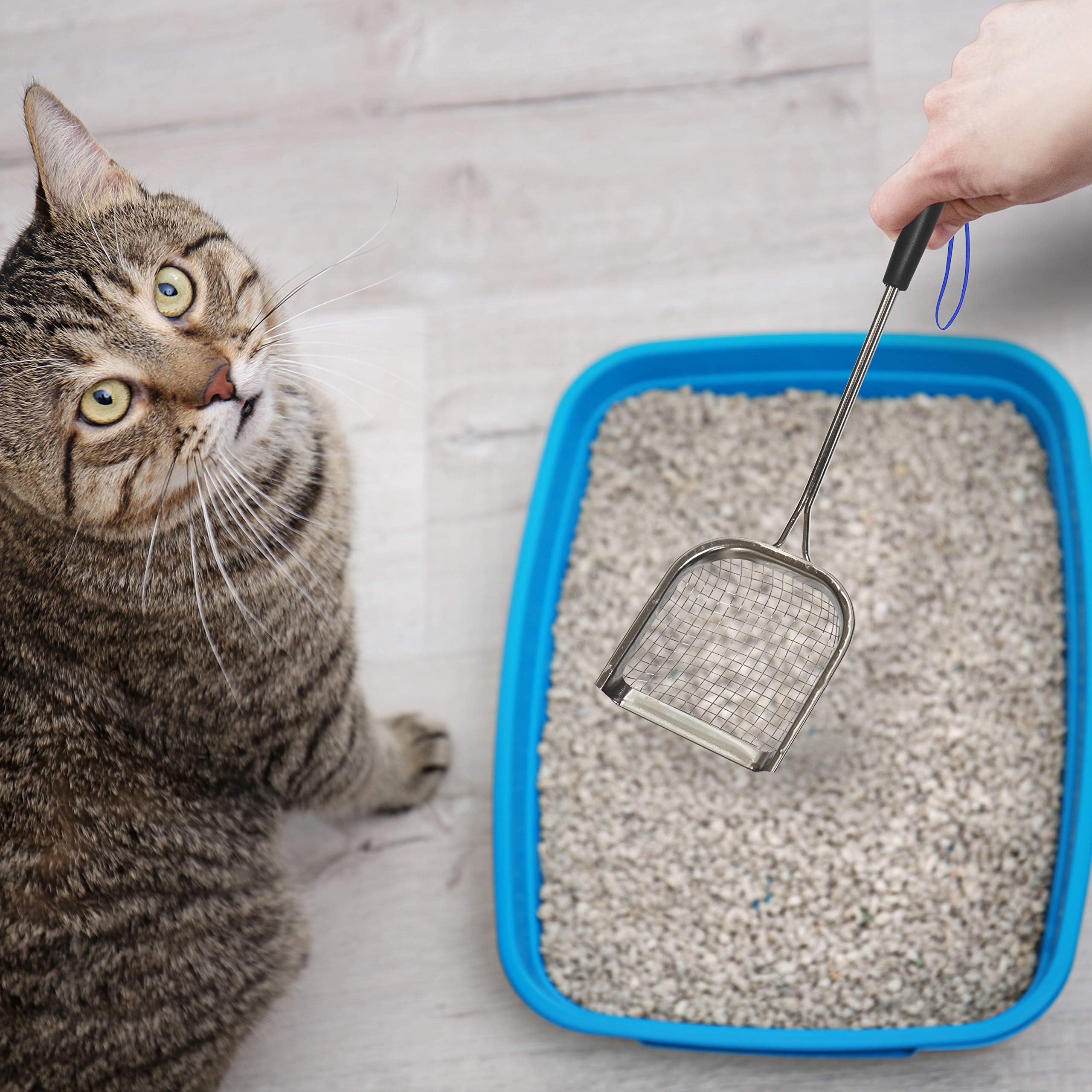 Sand Dipper marine-grade stainless steel for long-lasting use.