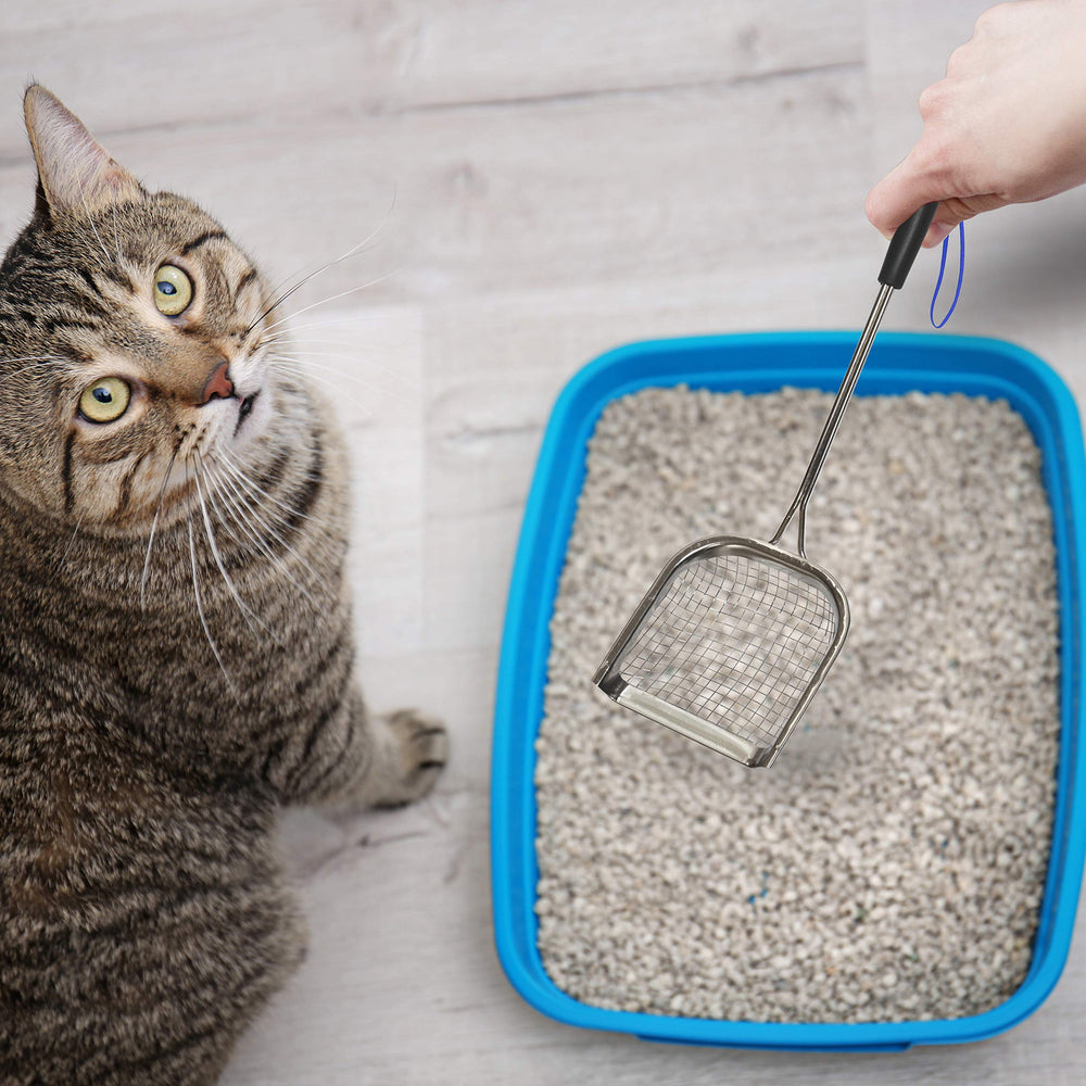 Sand Dipper marine-grade stainless steel for long-lasting use.