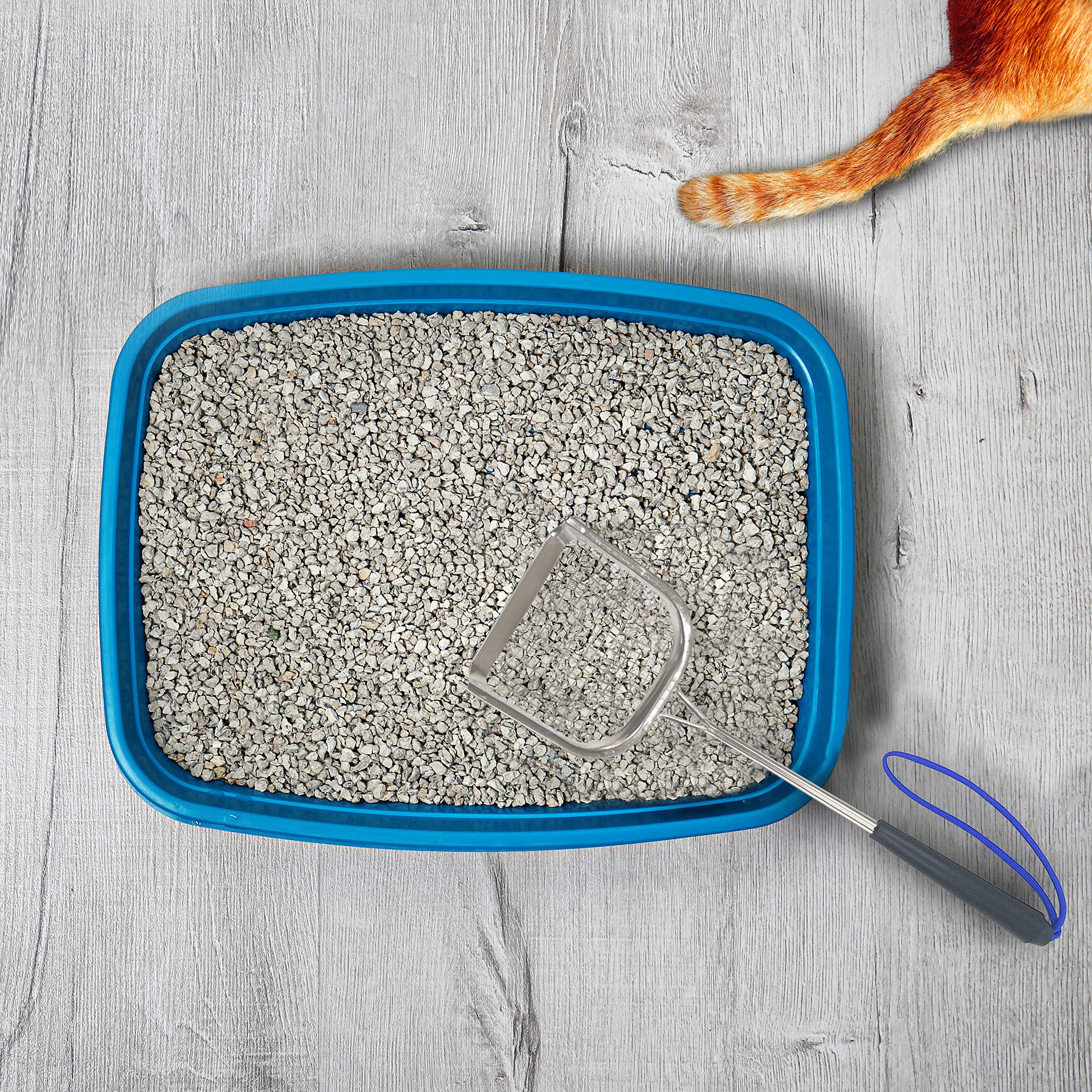 Sand Dipper sturdy scoop handles heavy-duty tasks.
