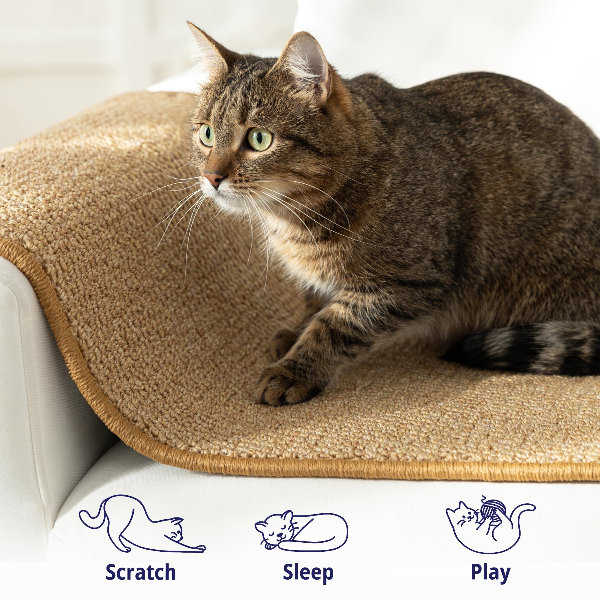 Sandpeak cat wall climber uses durable polypropylene for years of scratching fun.