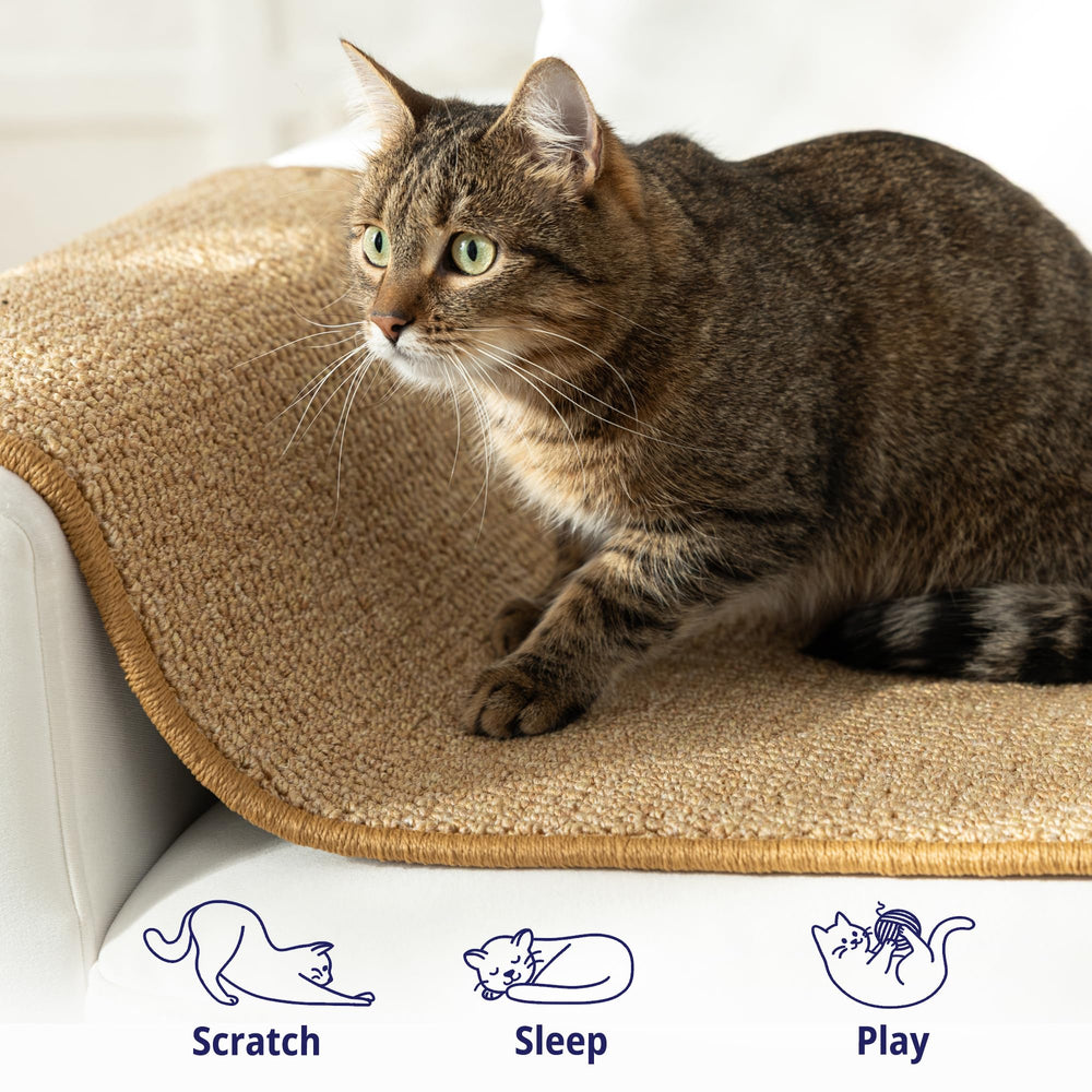 Sandpeak cat wall climber uses durable polypropylene for years of scratching fun.