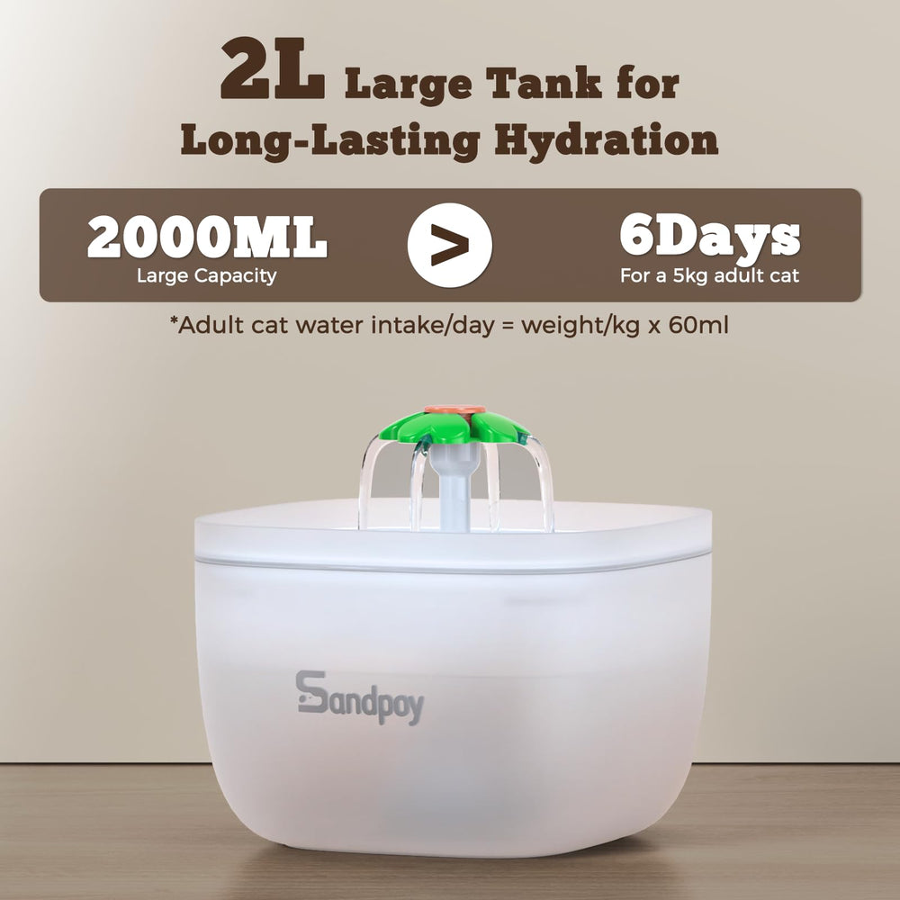 Sandpoy FW1 four-meal schedule on display supports routine feeding.