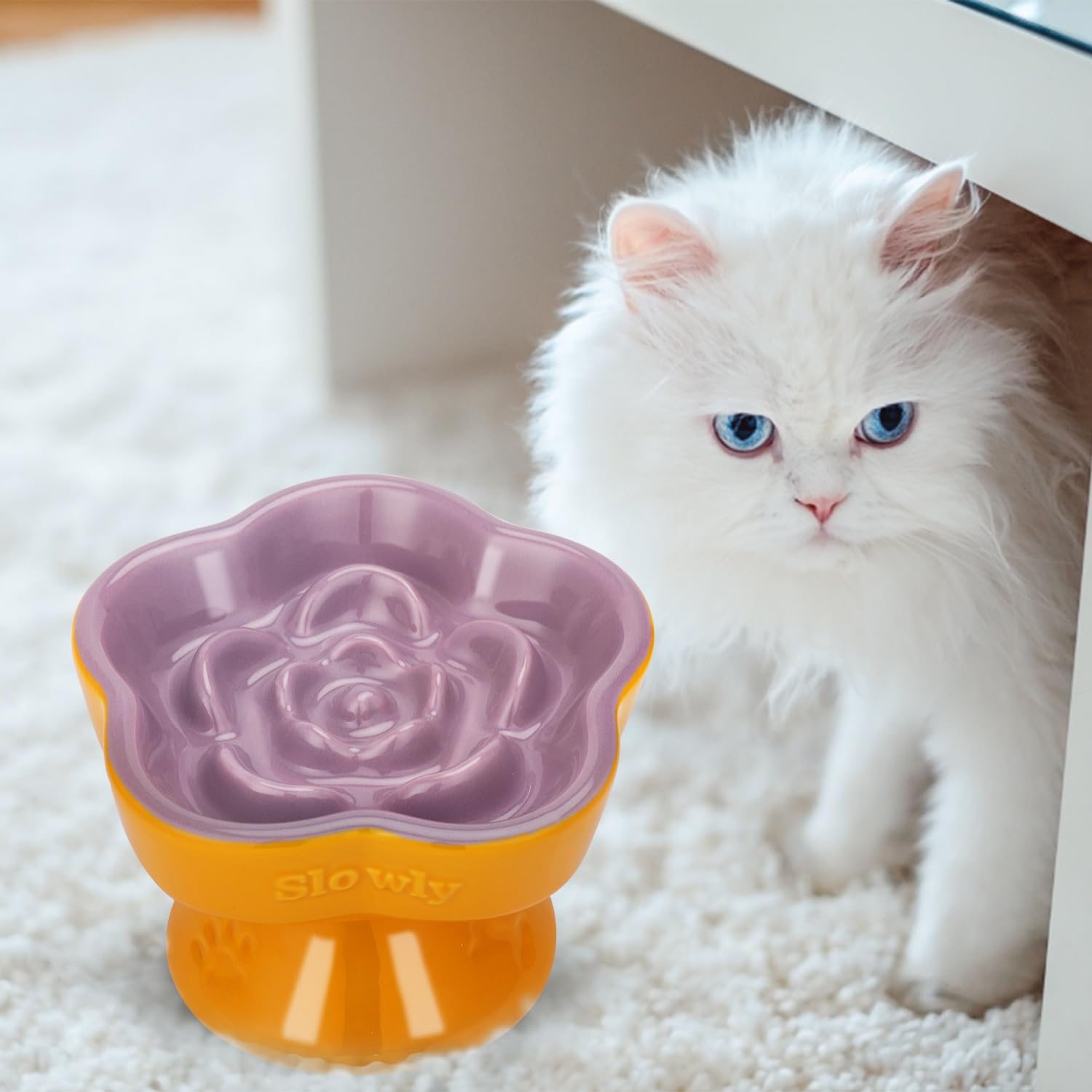 S&Q's Ceramics suitable for dry and wet food versatility