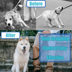 SANFENGPET adjustable collar with extra links for precise, comfortable fit.