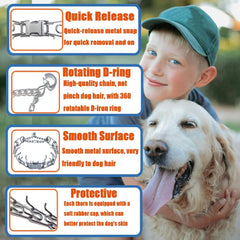 SANFENGPET collar demonstrating humane training cues without shocks.