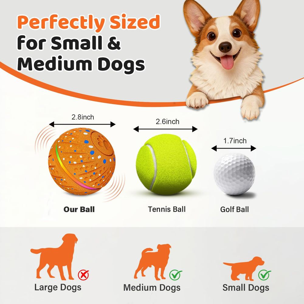 Sankell auto bouncing ball encourages chasing and natural retrieving behavior.