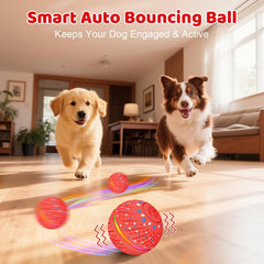 Sankell dog ball in action showing auto-bouncing and rolling.