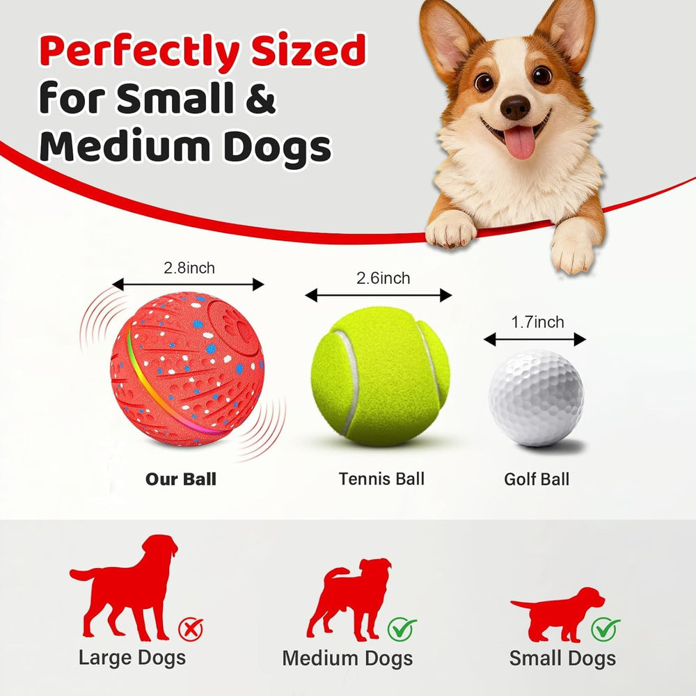 Sankell IP54 waterproof ball designed for rain and slobber.