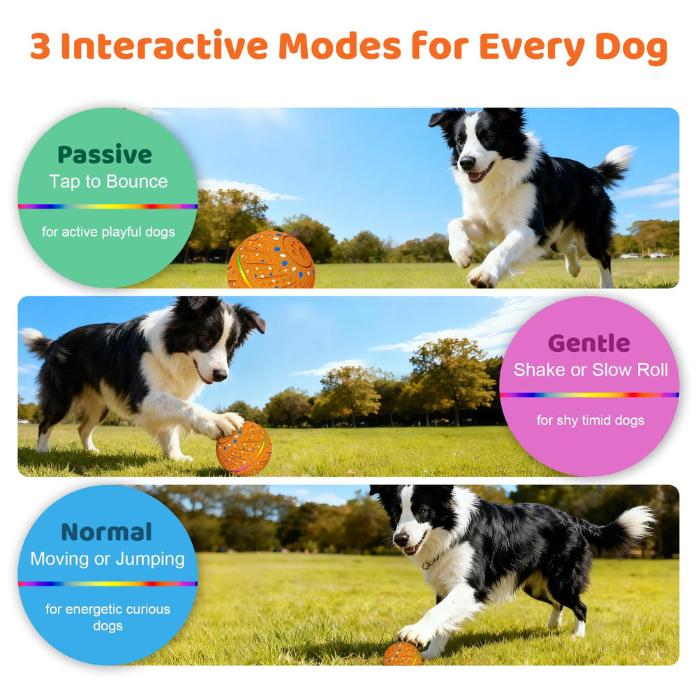 Sankell E-TPU material offers chew safe, durable play for dogs.