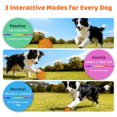 Sankell E-TPU material offers chew safe, durable play for dogs.