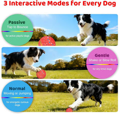 Sankell Interactive Dog Ball made with e-TPU material for safe play.