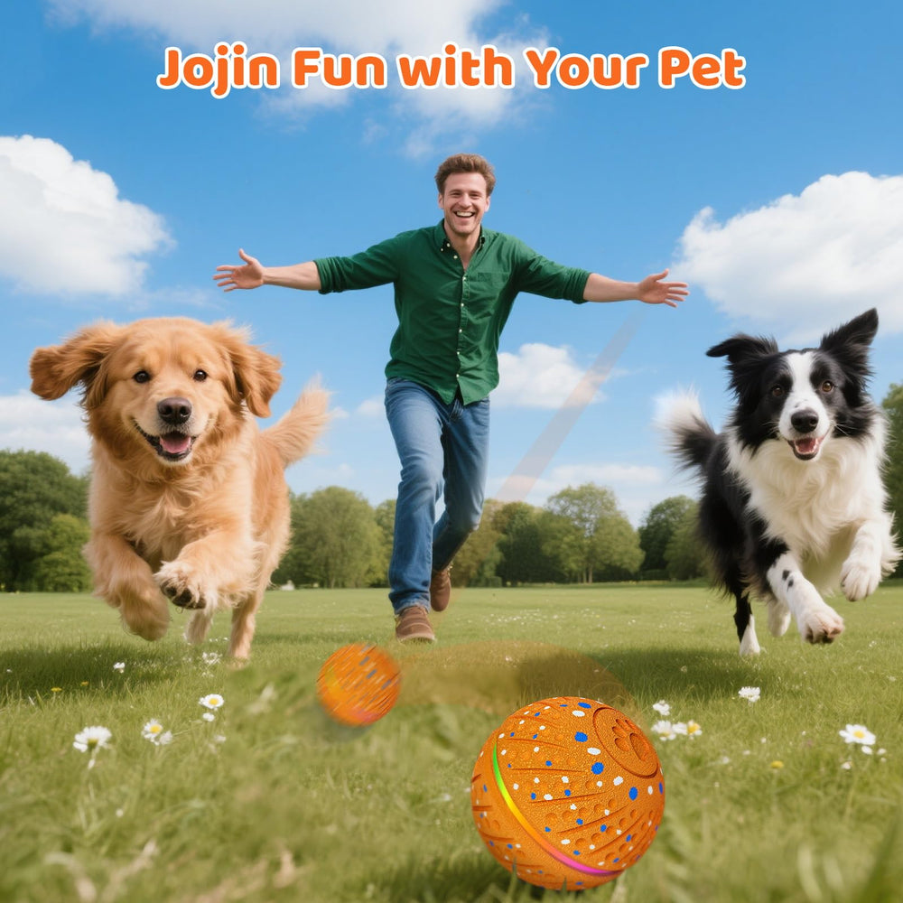 Sankell small dog friendly ball supports safe chewing and long sessions.