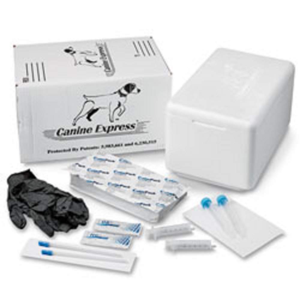 SANPROV Canine Express disposable semen transport for secure veterinary sample handling.
