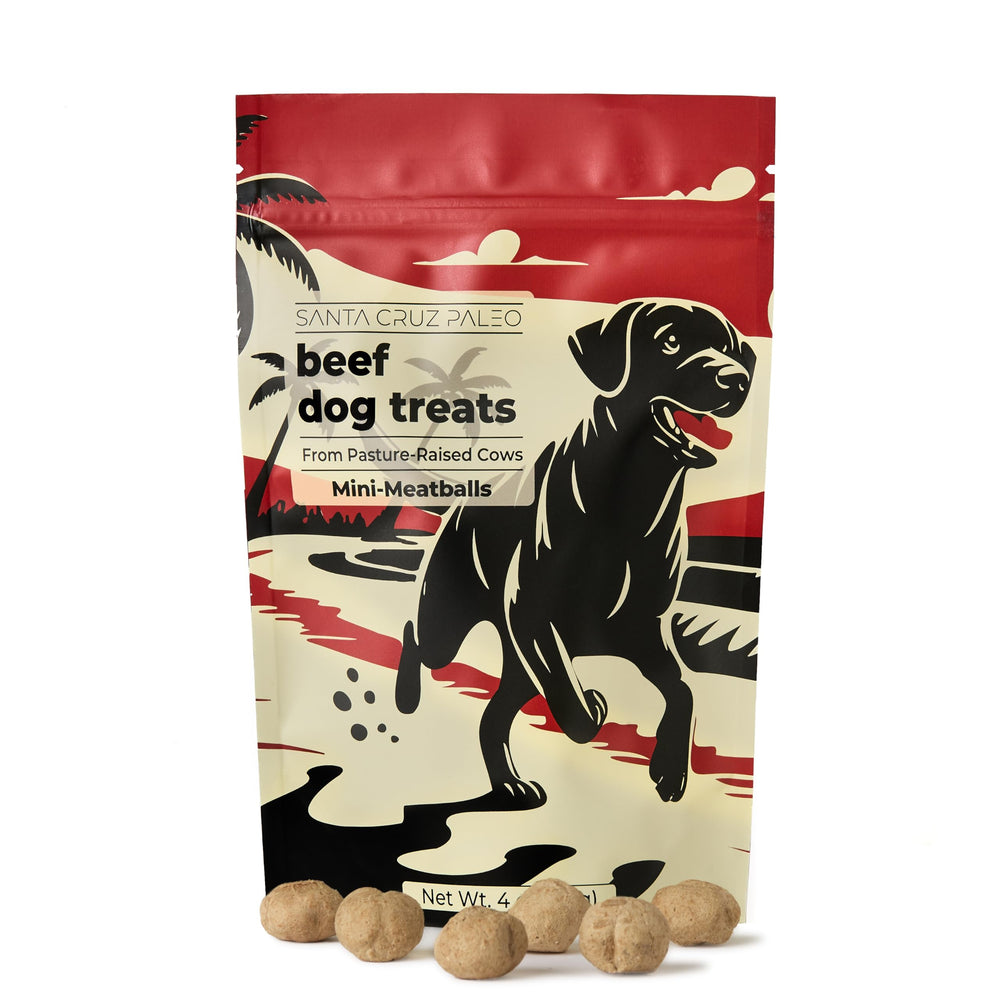 Santa Cruz Paleo Dog Treats bag-front shows natural ingredients for wholesome training rewards.