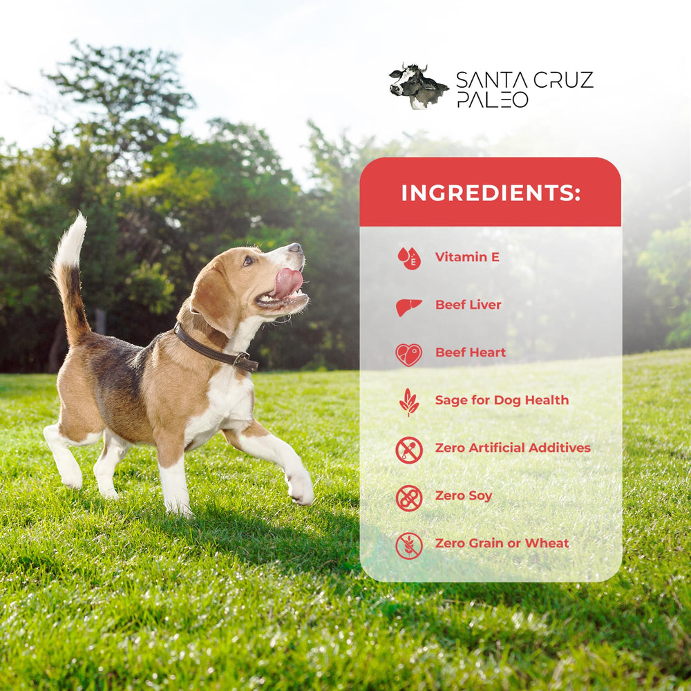 Santa Cruz Paleo dog treats training-scene shows dog receiving a reward during practice.