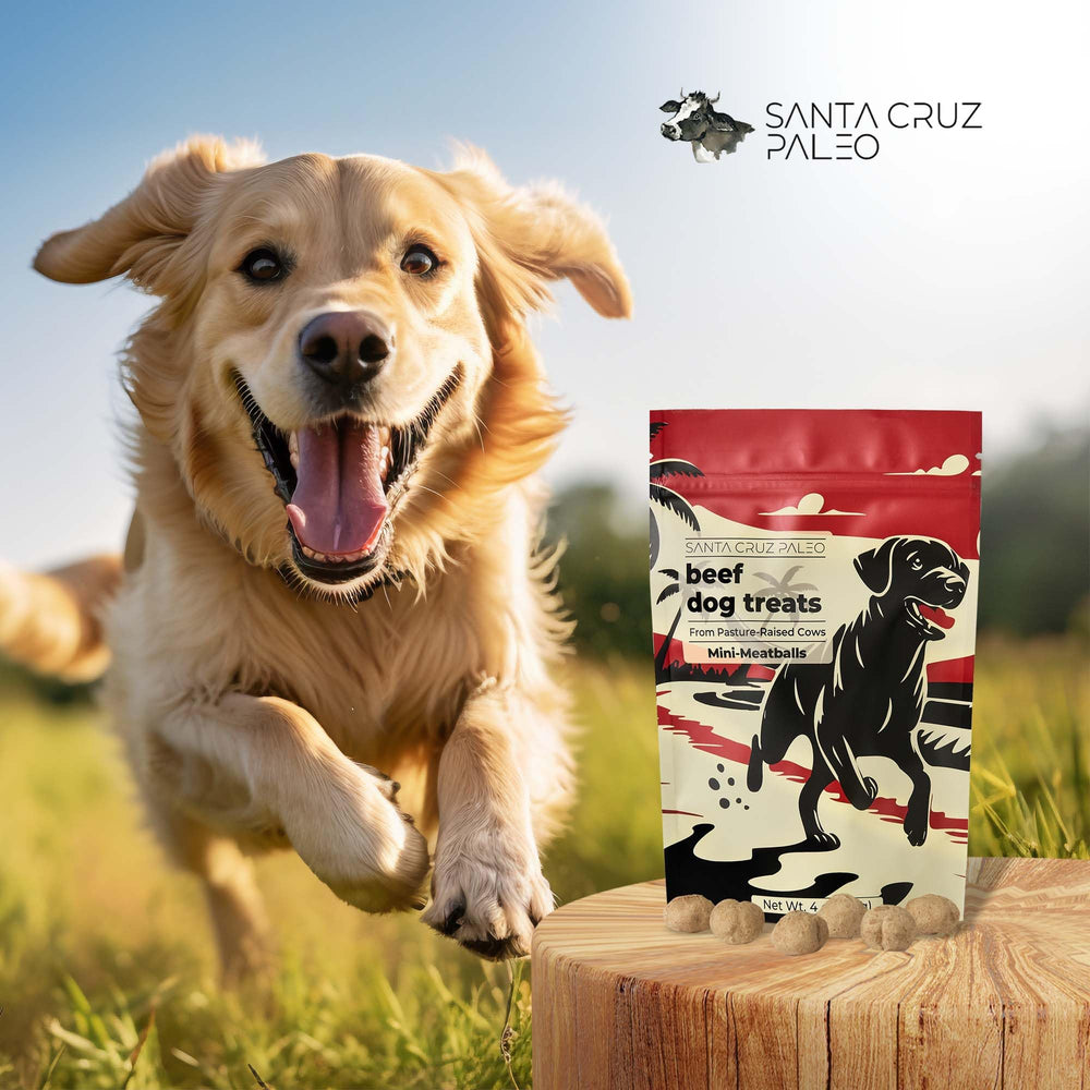 Santa Cruz Paleo dog treats pasture-raised beef image communicates ethical sourcing and taste.
