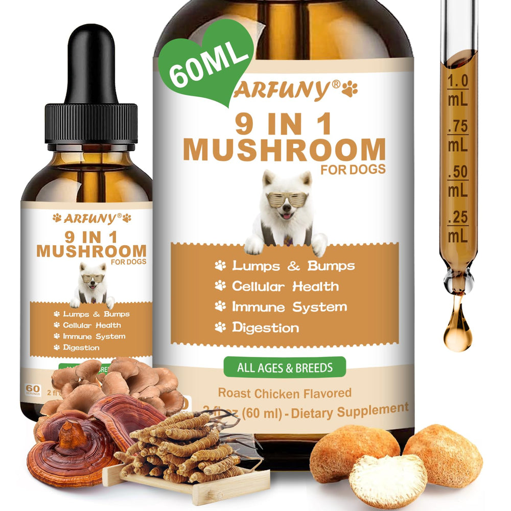SANTKOL 9 in 1 dog mushroom supplement roast chicken bowl showing serving suggestion for immune support.