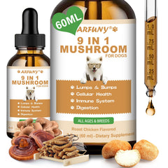 SANTKOL 9 in 1 dog mushroom supplement roast chicken bowl showing serving suggestion for immune support.