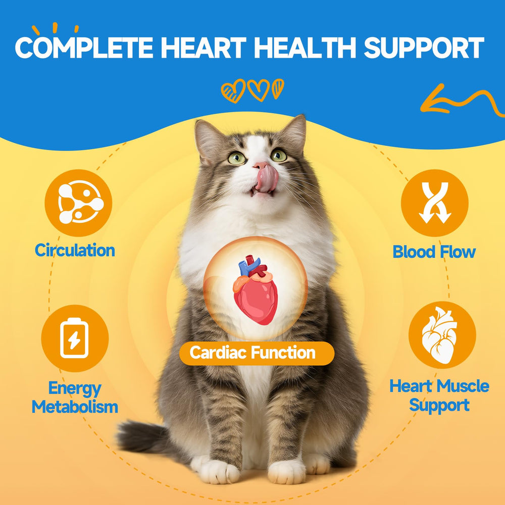 SANTKOL Cat Cardiac Support formula illustration with key ingredients.