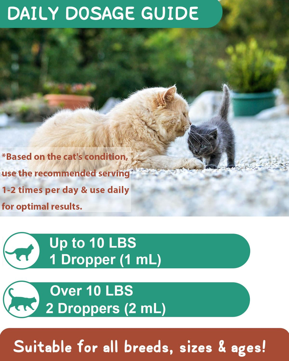 SANTKOL cat coat health close-up highlights skin and coat support.