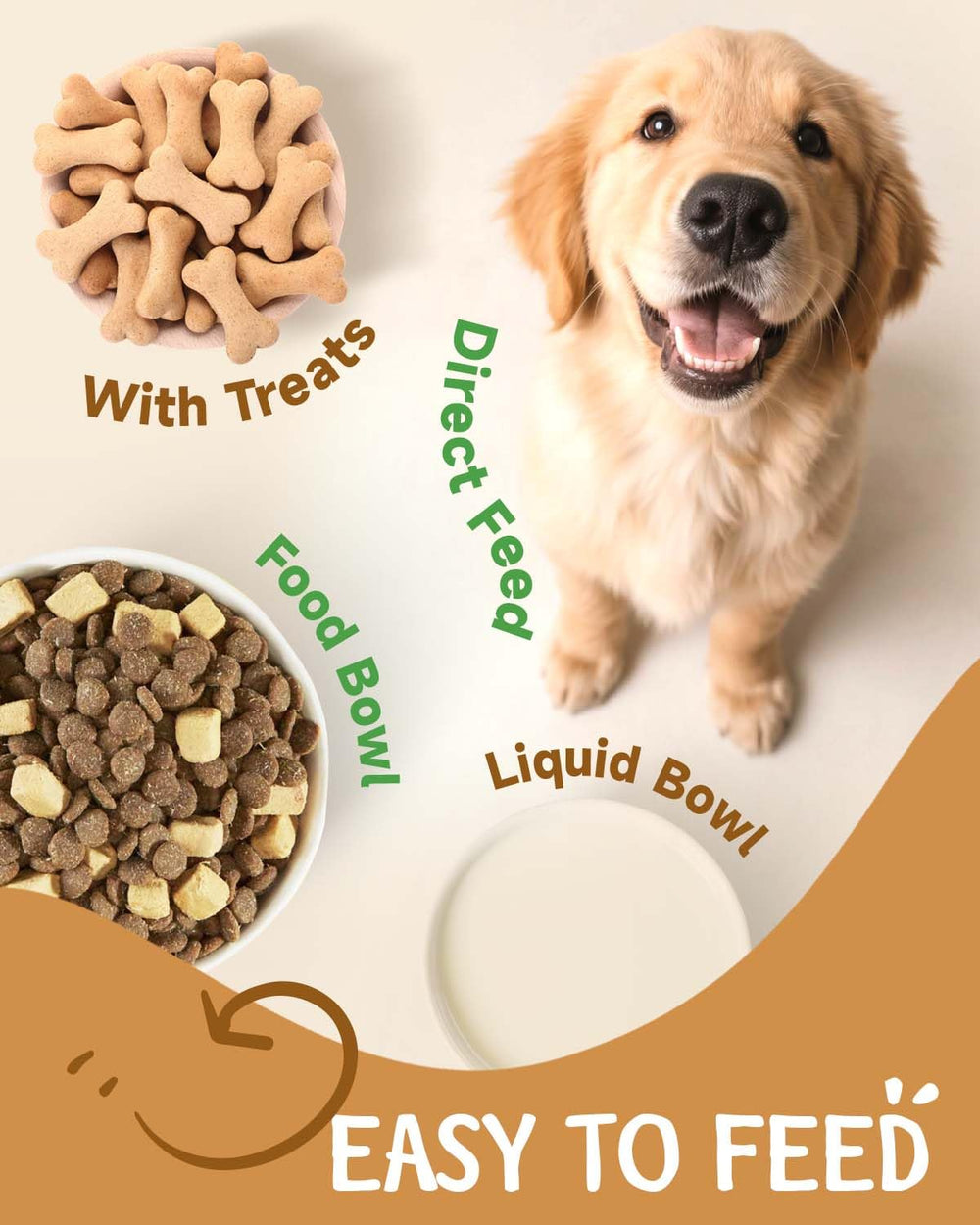 SANTKOL chaga dog supplement bottle highlighting antioxidant support.