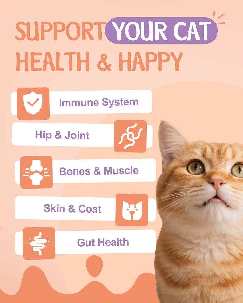 SANTKOL cat collagen drops aid digestion when mixed with meals.