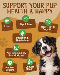 SANTKOL dog mushroom chaga agaricus powder for antioxidants and coat health.