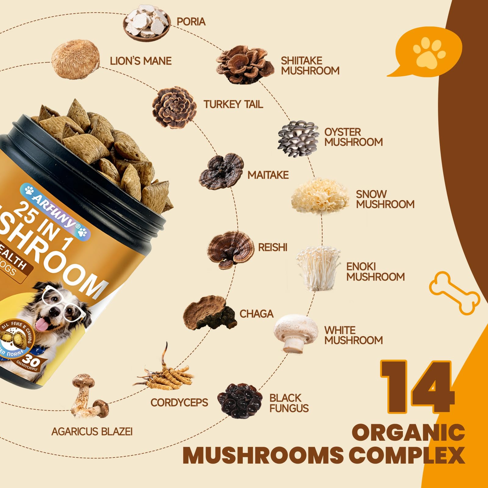 SANTKOL image shows turkey tail, reishi and lion’s mane for overall wellness.