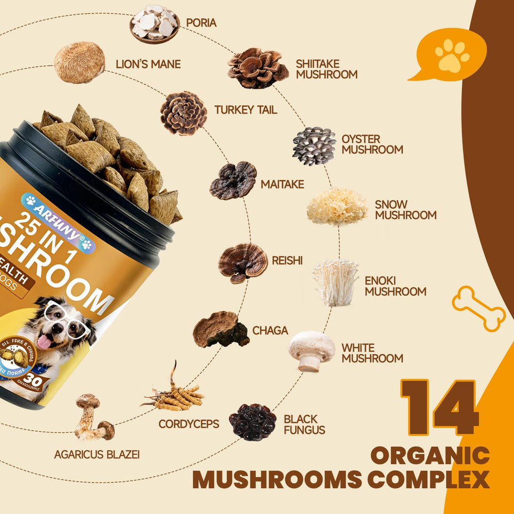 SANTKOL image shows turkey tail, reishi and lion’s mane for overall wellness.