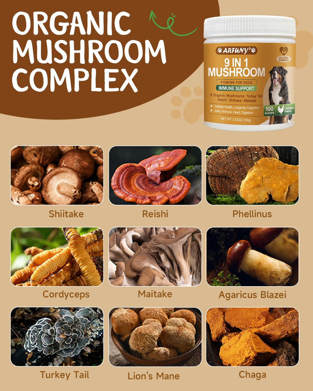 SANTKOL dog mushroom maitake cordyceps powder for balanced energy.