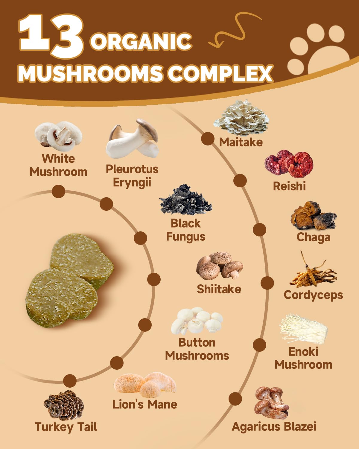 SANTKOL Mushrooms for Dogs Lions Mane chips promote cognitive clarity and skin health