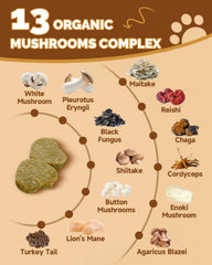SANTKOL Mushrooms for Dogs Lions Mane chips promote cognitive clarity and skin health
