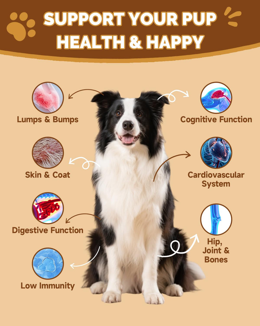 SANTKOL Mushrooms for Dogs Reishi capsules image emphasizes joint support and immune balance