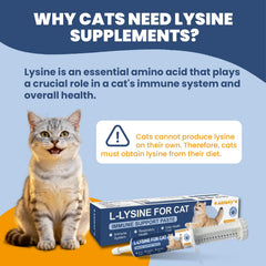 SANTKOL L-Lysine cats paste texture showing smooth feedable consistency