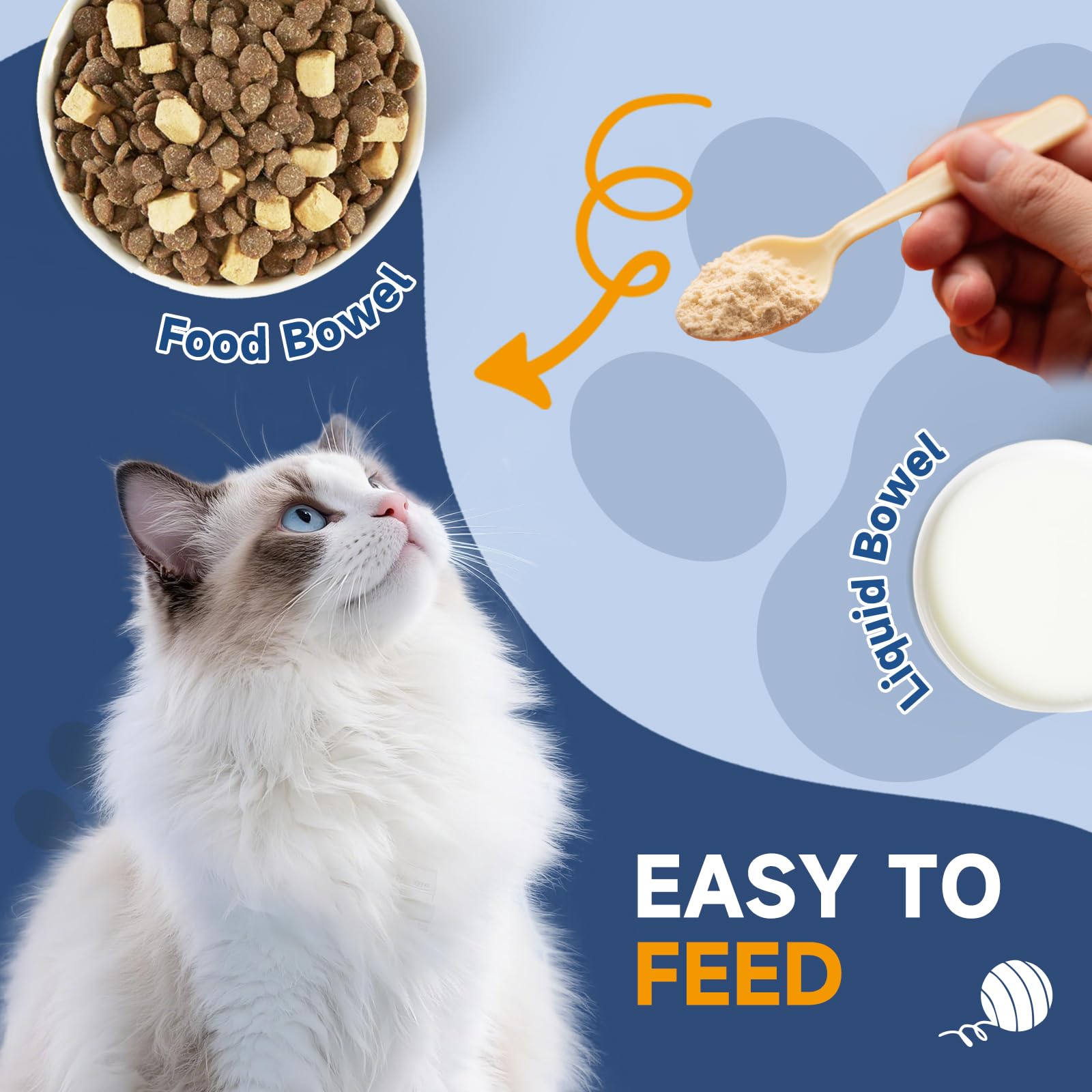 SANTKOL L-Lysine for Cats immune-support bottle trusted daily supplement for respiratory comfort
