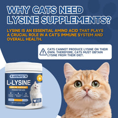 SANTKOL L-Lysine for Cats powder-dispense simplifies daily dosing for regular support
