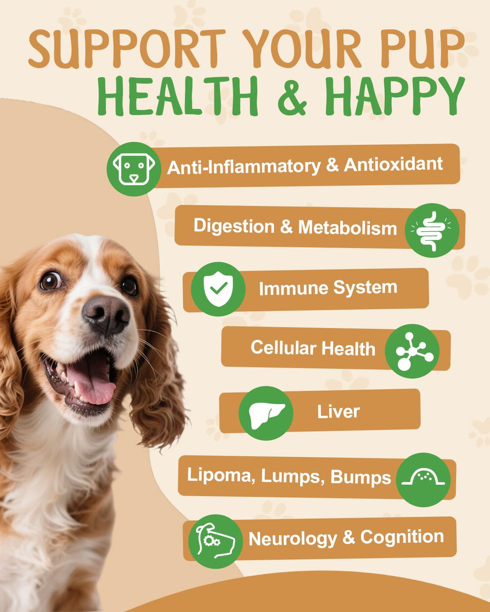 SANTKOL lions mane dog health product in cup suggesting cognitive vitality support.