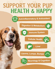 SANTKOL lions mane dog health product in cup suggesting cognitive vitality support.